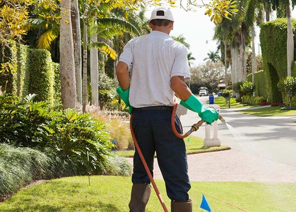 About Kettlersville OH Pest Control